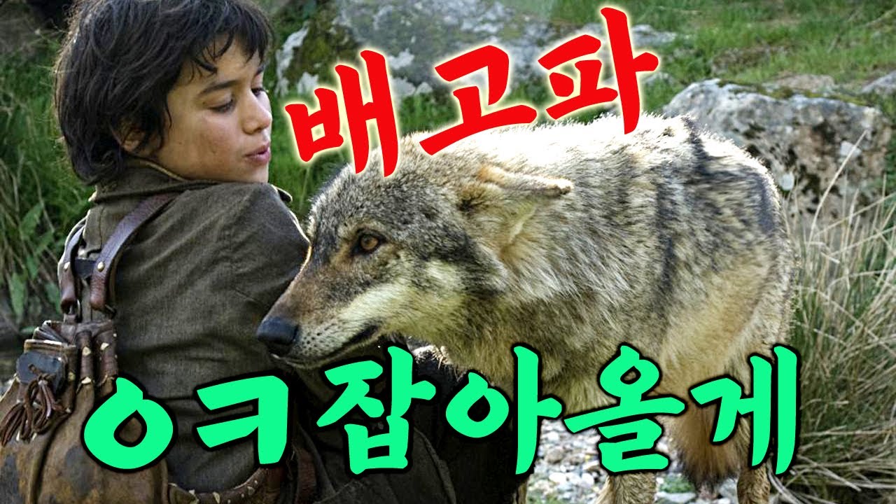《이 이야기는 실화임》 야생 늑대가 인간을 돌보면 생기는 일... 7살에 일꾼으로 팔려가 깊은 산속 늑대들과 평생을 살아가게 된 한 남자의 감동실화!! (영화리뷰/결말포함)
