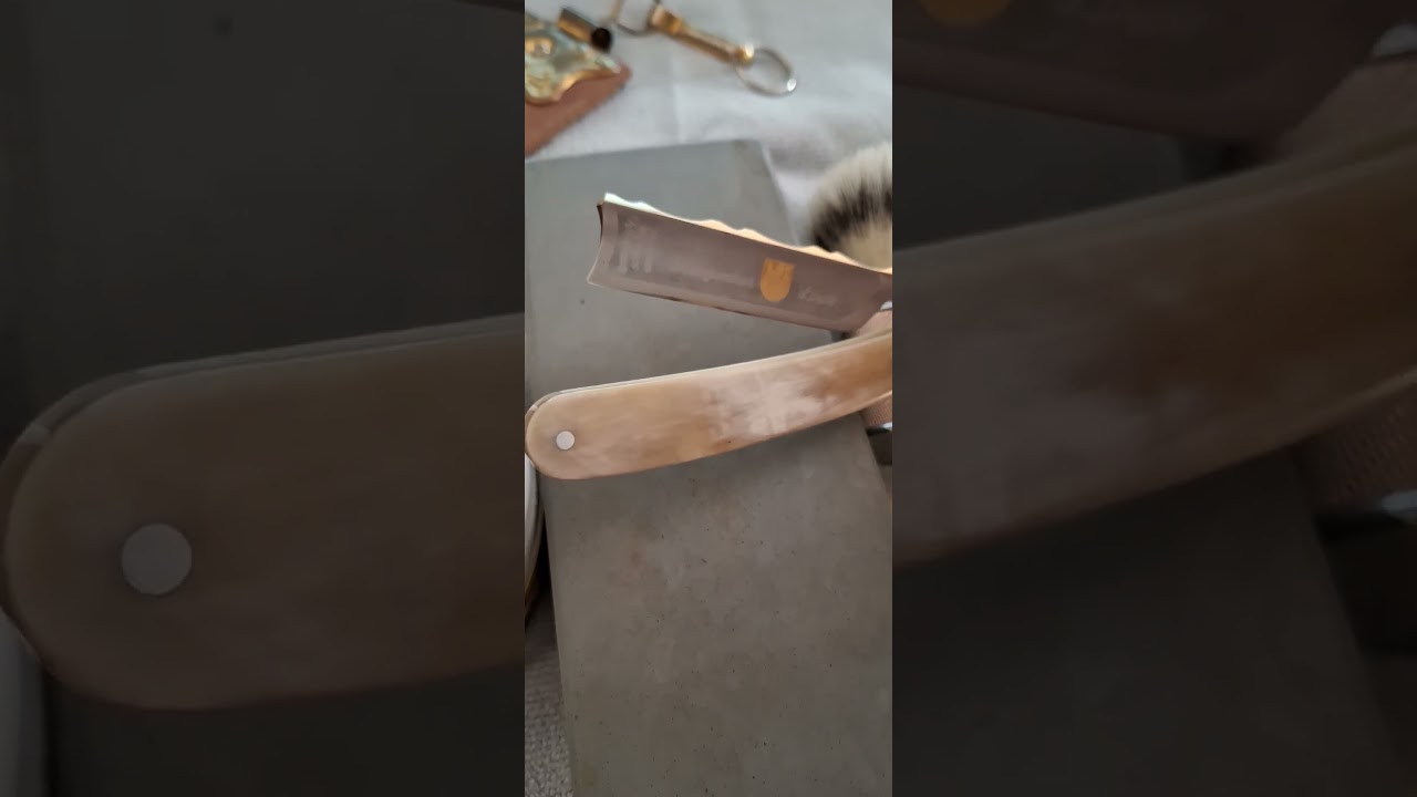 Dovo Bergischer Löwe - 5/8