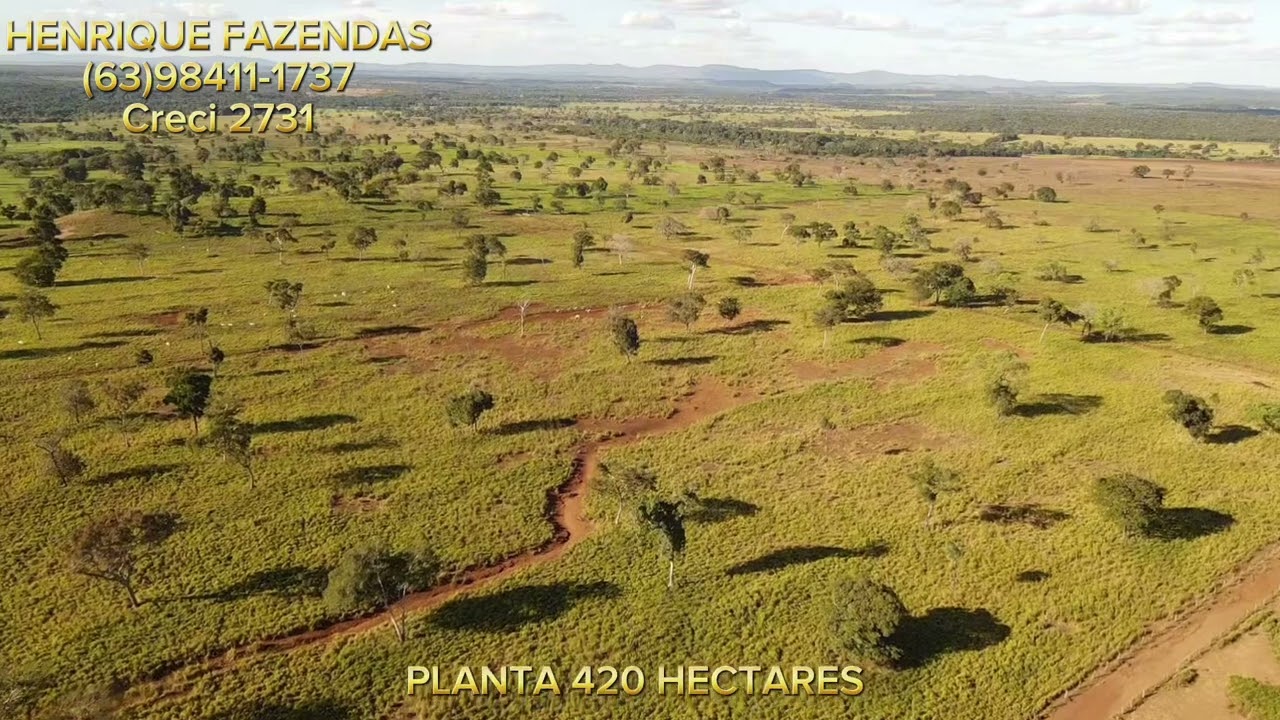 FAZENDA 109 ALQUEIRES DUPLA APTIDÃO NO TOCANTINS (63)98411-1737