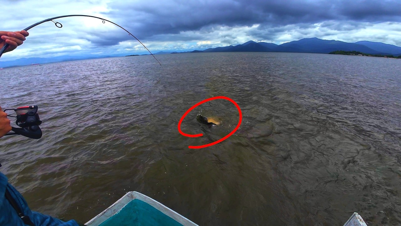 Fomos Atrás Das Pescadas... Mas olha o Que Apareceu