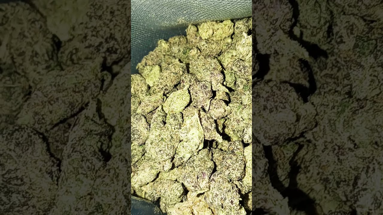 Mr 32 flavaz - purple runtz 🔥