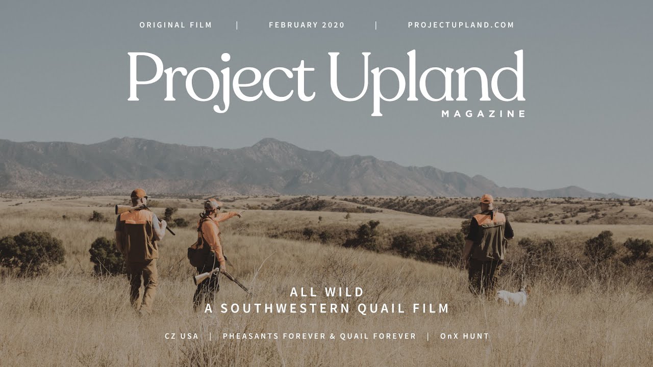 Охота на перепелов Мирнса, Чешуйчатого и Гамбела в Аризоне – All Wild – Оригинальный фильм проект...