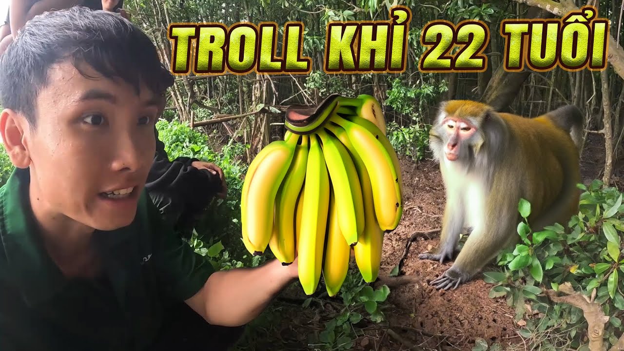 Mon Bị Con Khỉ 22 Tuổi Rượt Cắn Tuột Qu.ần  - Trần Vy Vy Tập 148