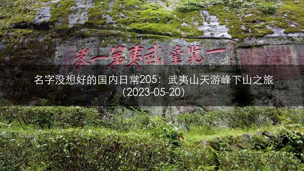 名字没想好的国内日常205：武夷山天游峰下山之旅（2023-05-20）
