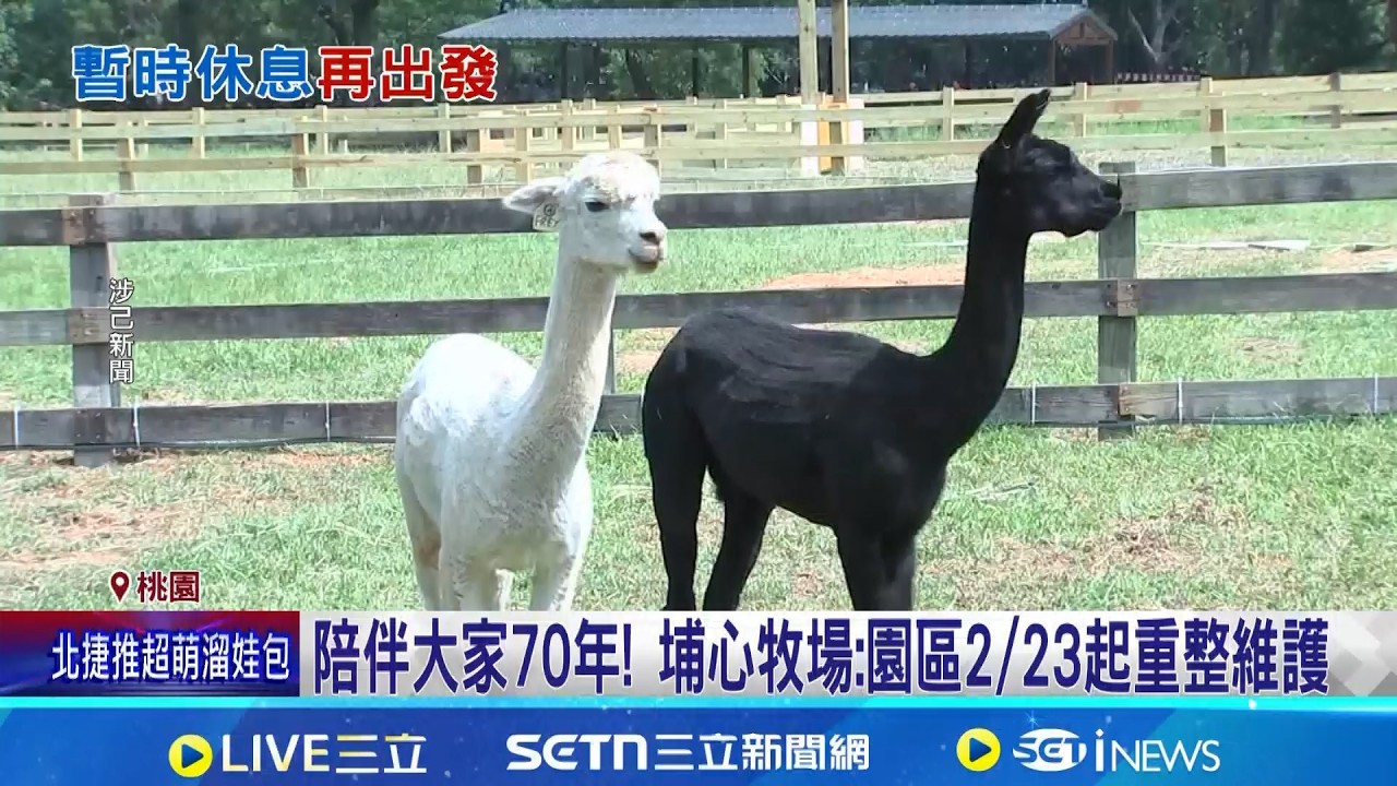 春節連假衝一波! 埔心牧場2/23起休園重整 埔心牧場觀光轉型 