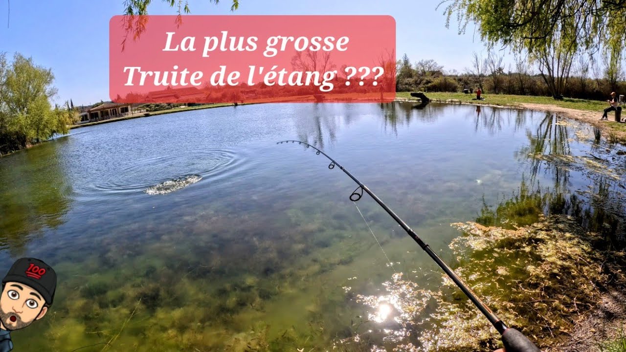 La plus grosse truite de l'étang ???