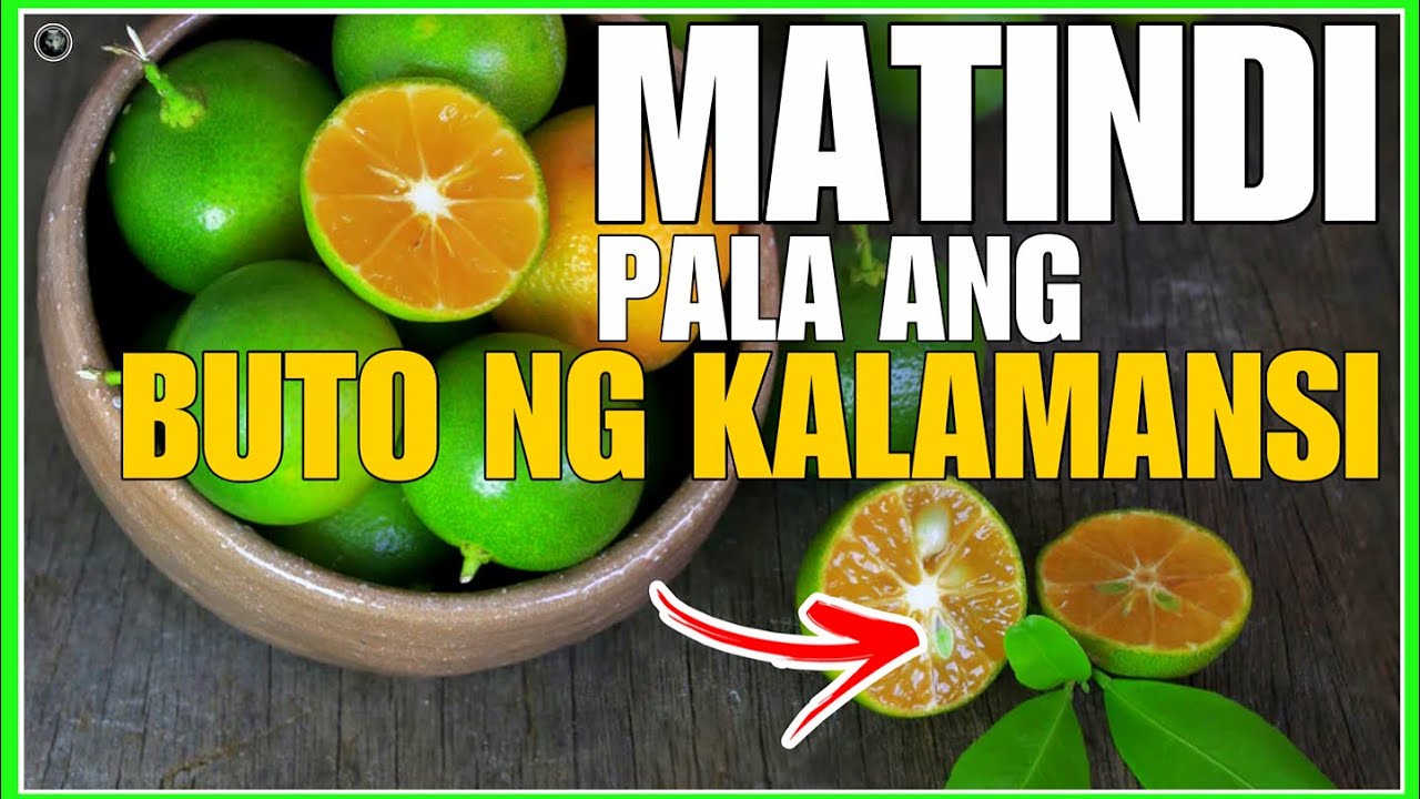 Ito pala ang MATINDING DAHILAN kung bakit DI MO DAPAT ITAPON ang balat ng BUTO NG KALAMANSI