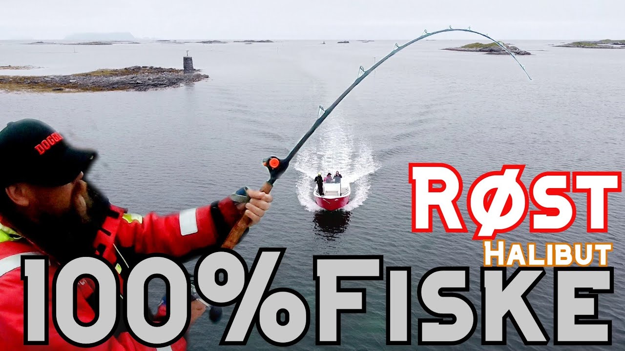 Havsfiske i Røst \ Hälleflundra \ Havskatt