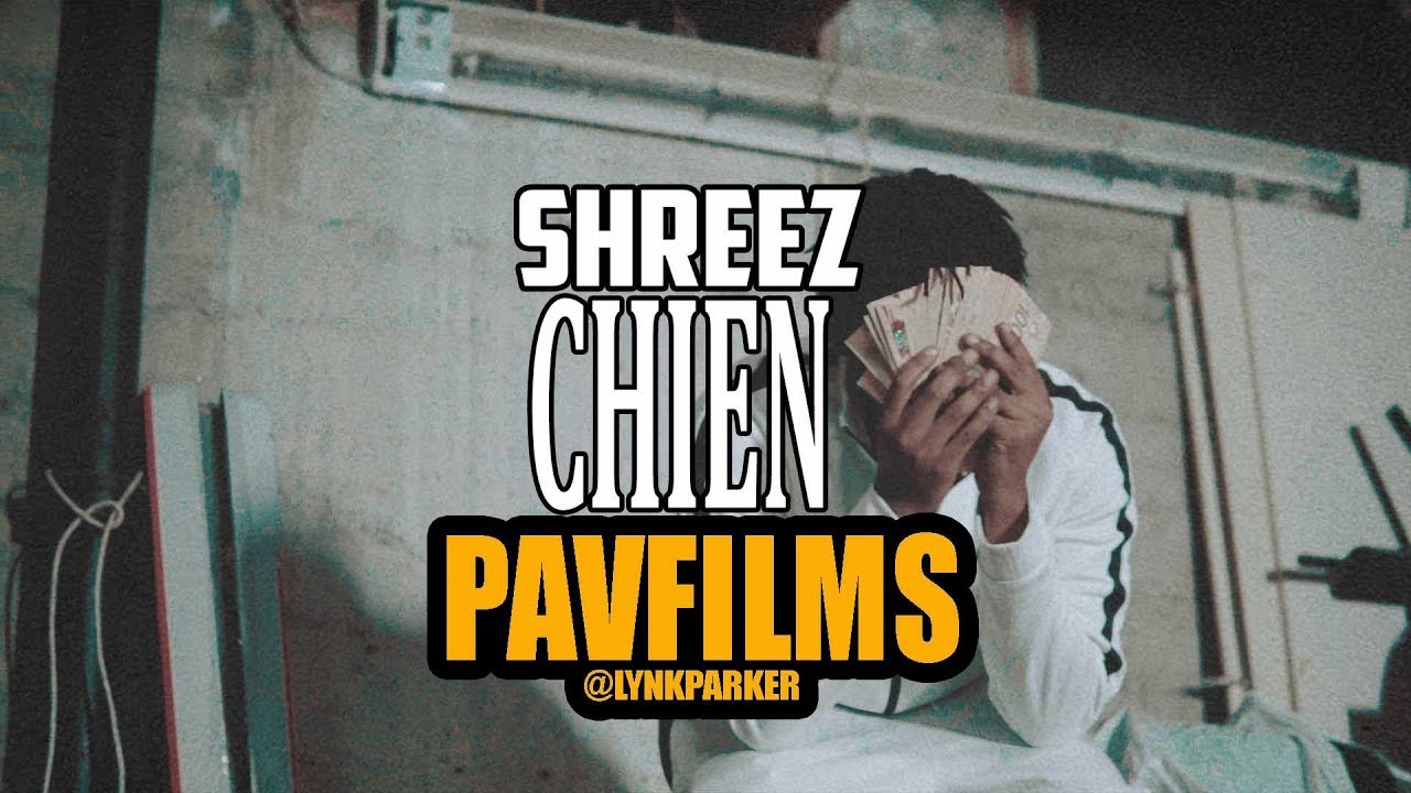 SHREEZ - CHIEN  | Shot by PAVFILMS X MT-HELL PRODUCTION
