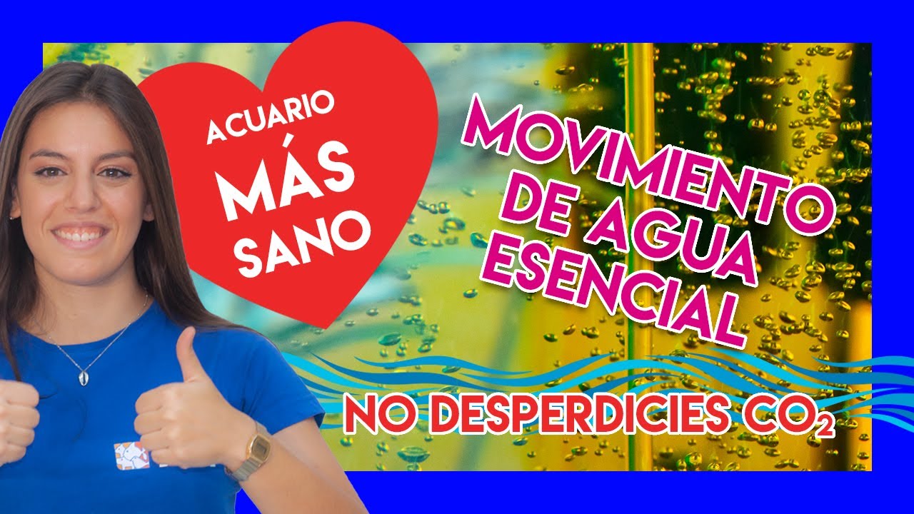 ♻️ Circulación en ACUARIOS PLANTADOS, ❗️SI es importante❗️