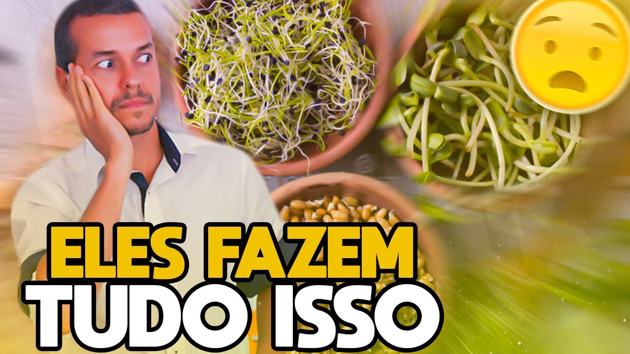 GERMINAÇÃO DE SEMENTES GRÂOS GERMINADOS BENÉFICOS À SAÚDE?