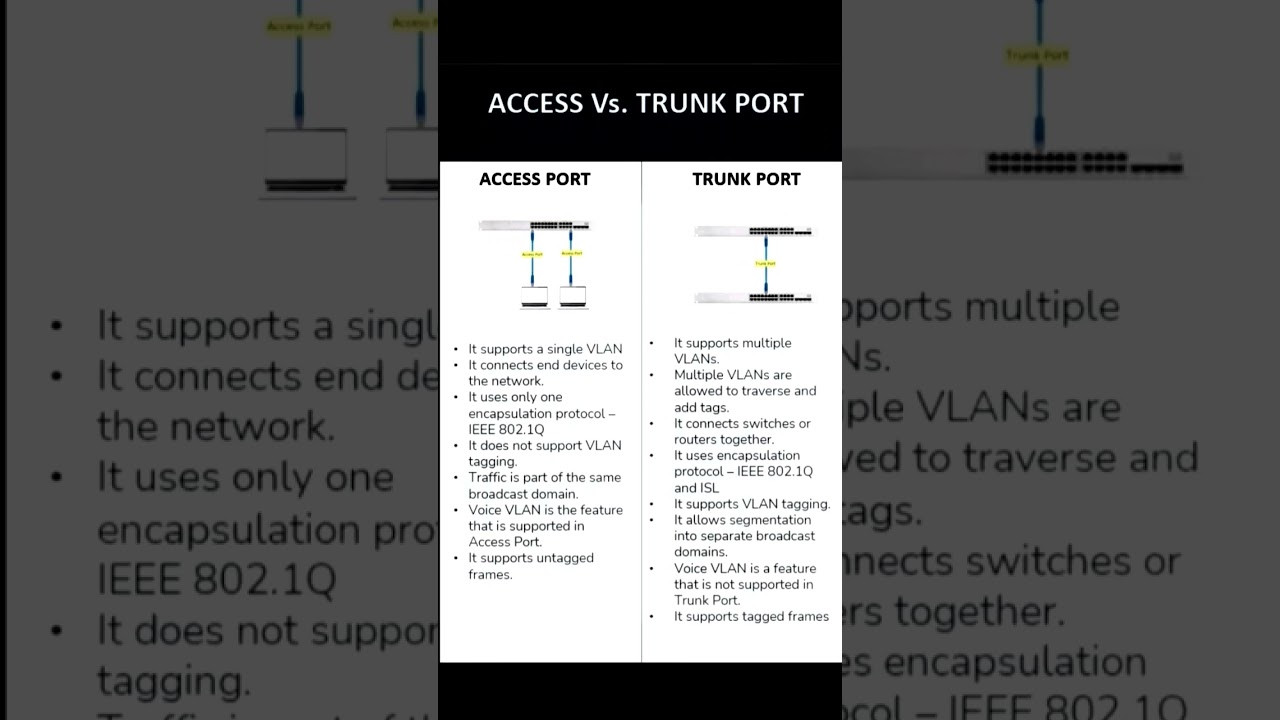 Access Port vs Trunk Port Explained | VLAN Basics for Beginners (CCNA Tutorial)