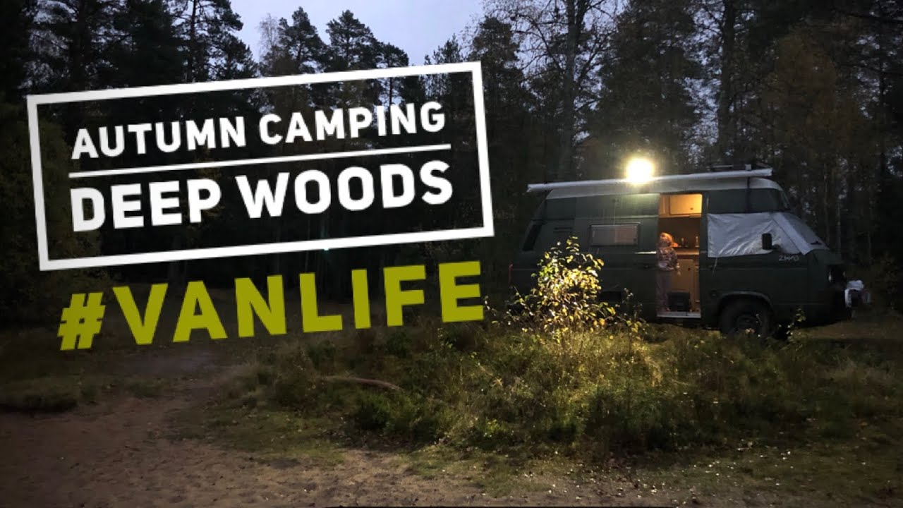 MISTY AUTUMN WEEKEND IN SWEDEN | EPIC FATHER-SON ADVENTURE IN THE WILD - VW SYNCRO