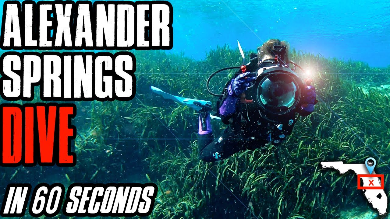 How to scuba dive Alexander Springs, FL | 1 minute dive site breakdown video | Down to 60