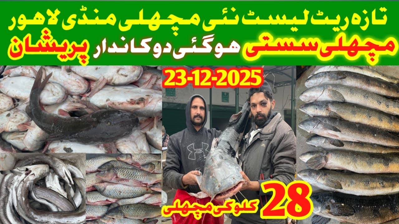Latest video fish market, New machli Mandi Lahore, Taza Rate list Machli Mandi Lahore, update market