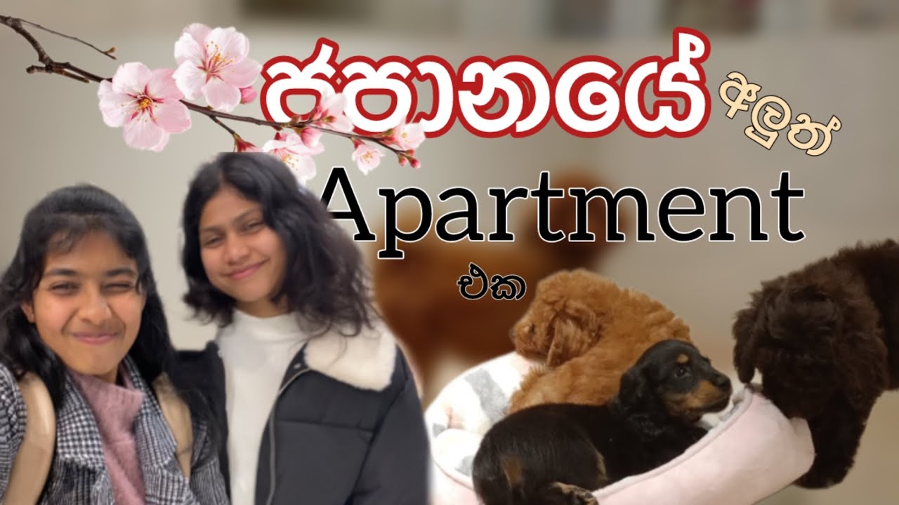 ජපානයේ අලුත් Apartment එක |🇯🇵🏠හික්කොෂි උනා.| #2026 #viralvideo #japanlife #apartment #myself 