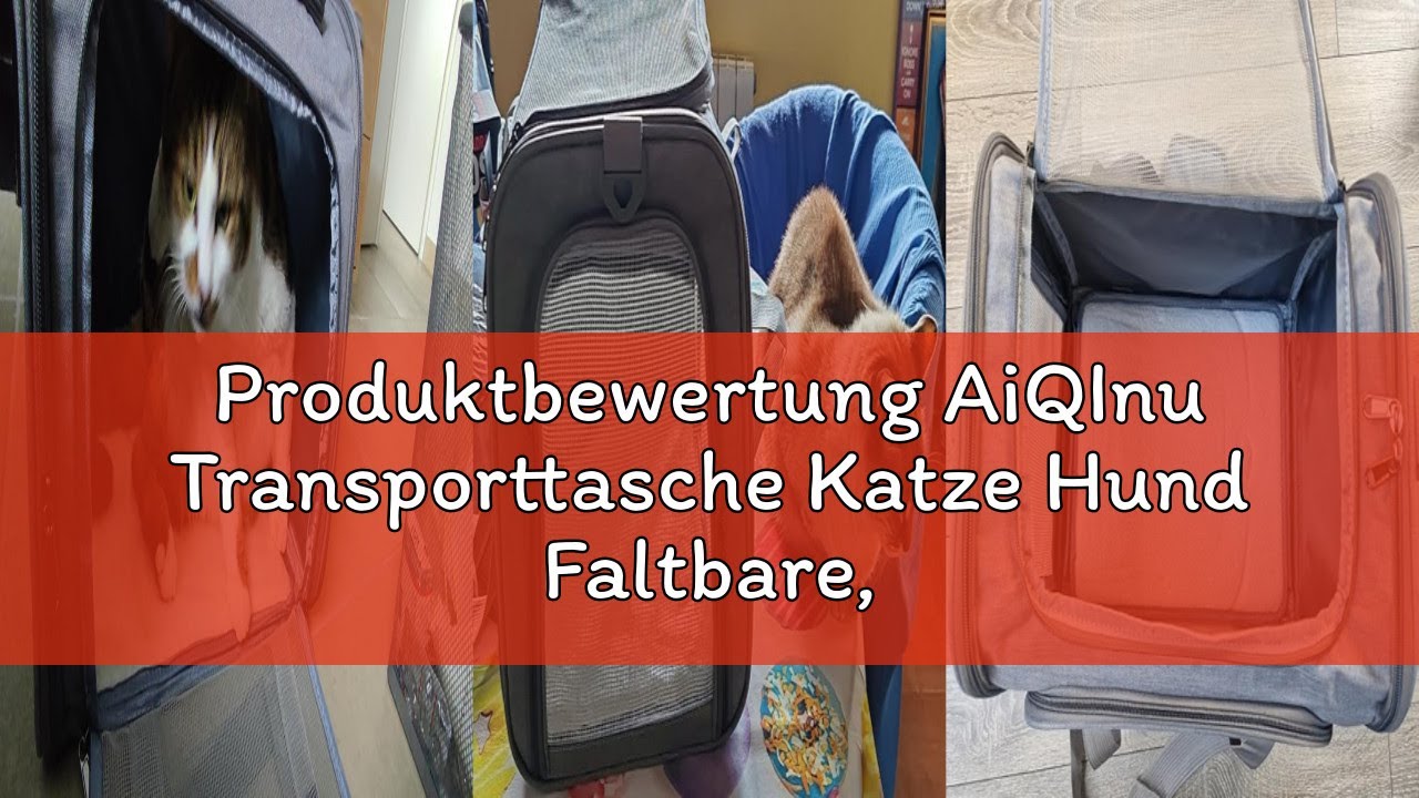 Produktbewertung AiQInu Transporttasche Katze Hund Faltbare, Hundetransportbox mit Einstellbar Schul