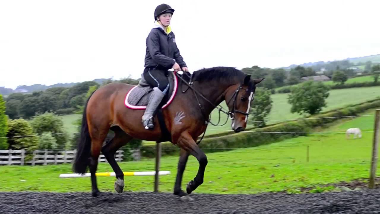 Running Wild [[27,000]]