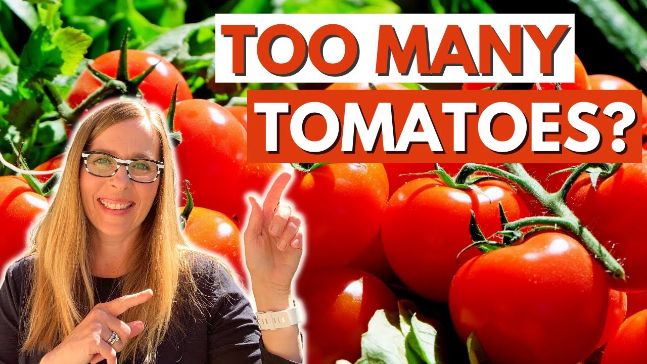 STOP Canning Tomatoes!  Freezing Tomatoes Is So Much Faster!