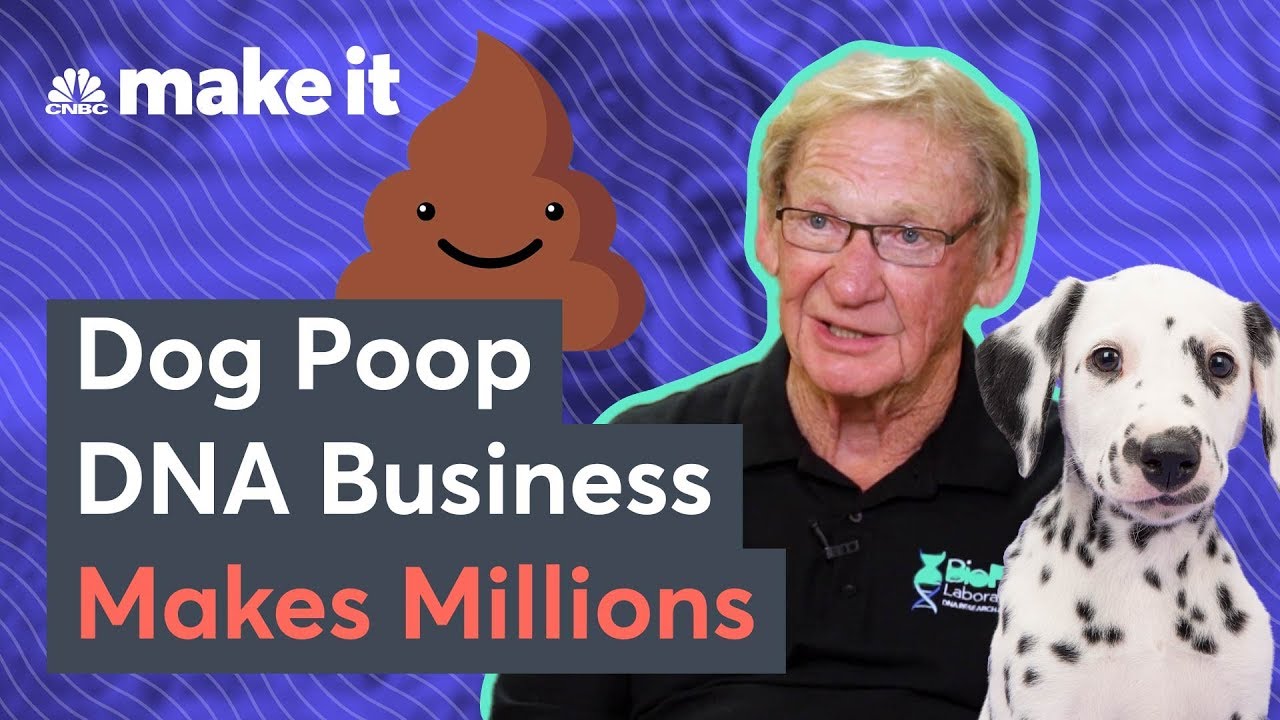 This Dog Poop DNA Company Makes Millions Testing Unscooped Poop