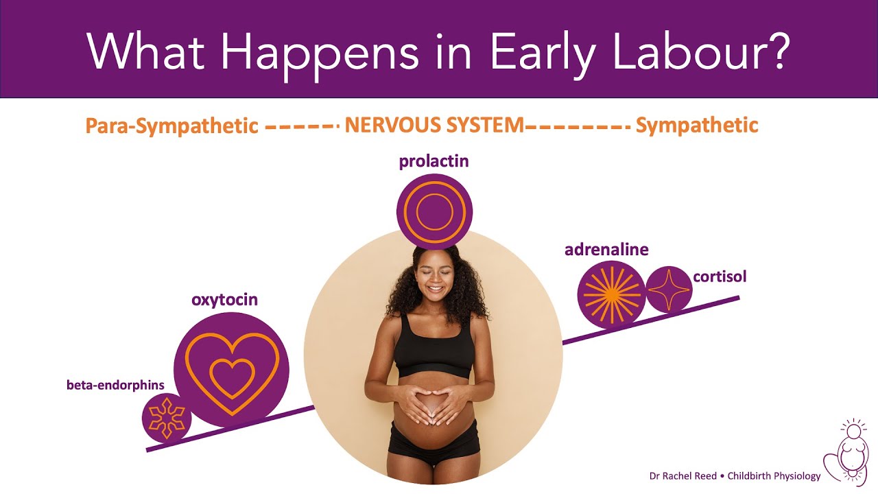 Что происходит в начале родов