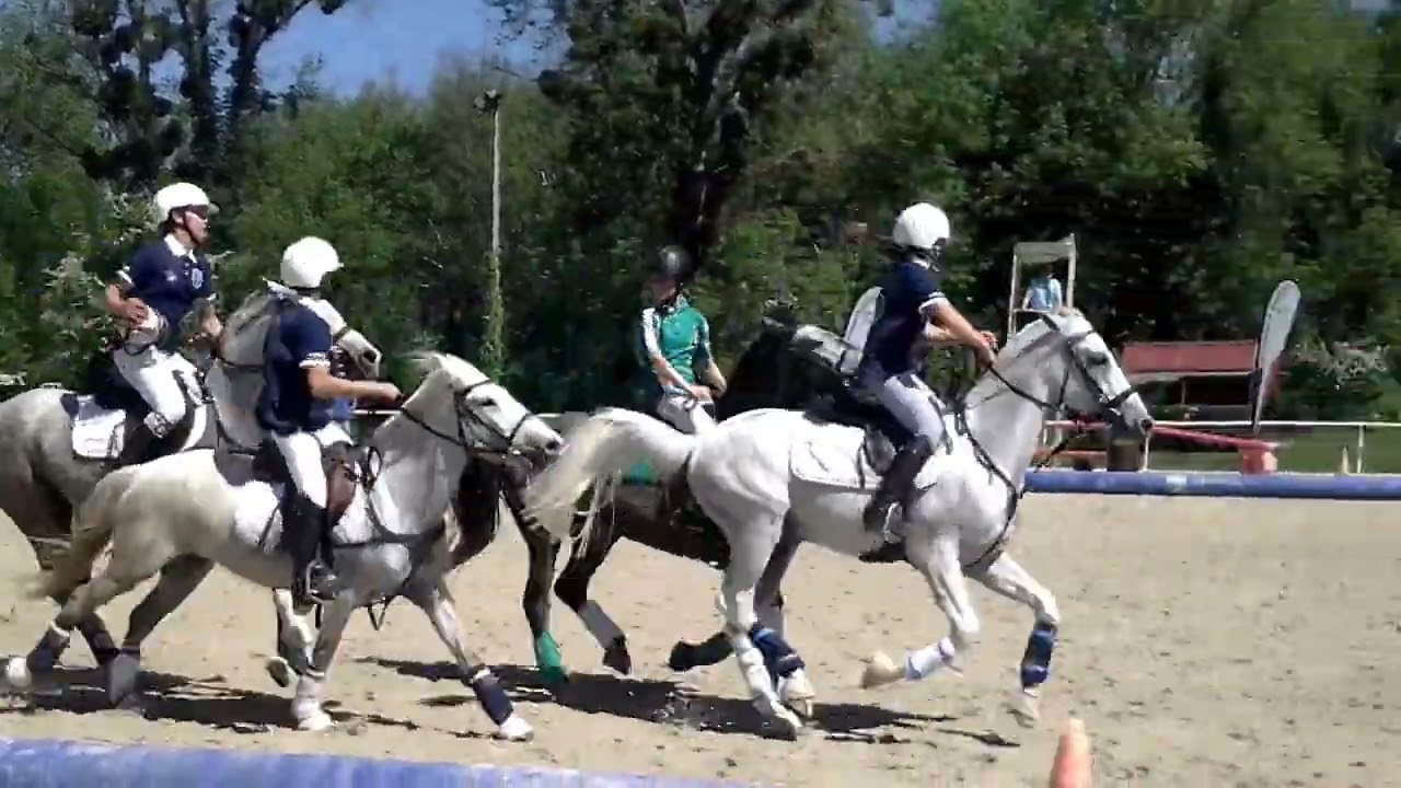 Finale régionale HORSE BALL MINIMES à MIRIBEL