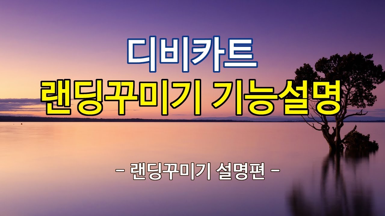 [디비카트 랜딩꾸미기] 랜딩페이지 기능설명