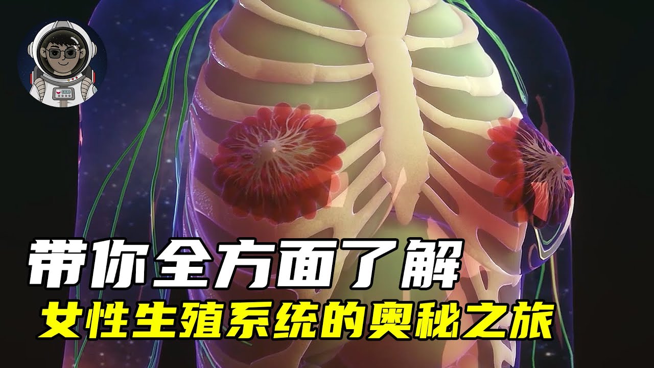 这个视频将带你全方面了解女性生殖系统的奥秘
