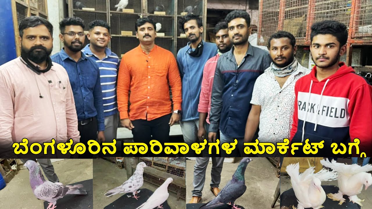 ಬೆಂಗಳೂರಿನ ಪಾರಿವಾಳಗಳ ಮಾರ್ಕೆಟ್ ಬಗ್ಗೆ | Bangalore largest pigeons sales market