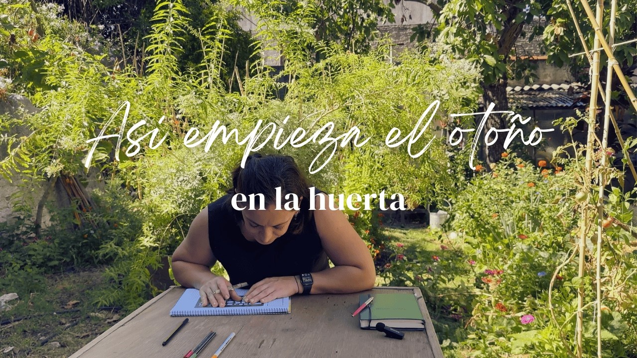 Así preparo TODA mi huerta de otoño 🍂 (planificación + repique + arreglos)