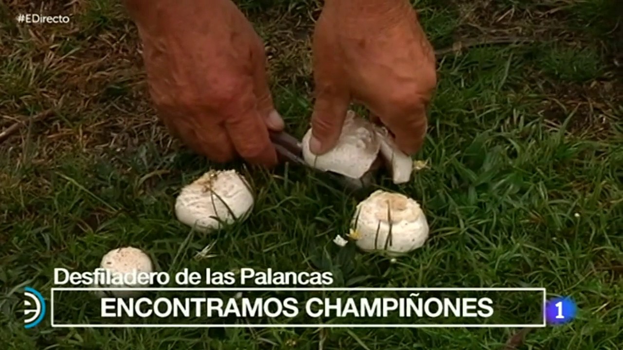 España Directo TVE Valle de Valdebezana 20160517