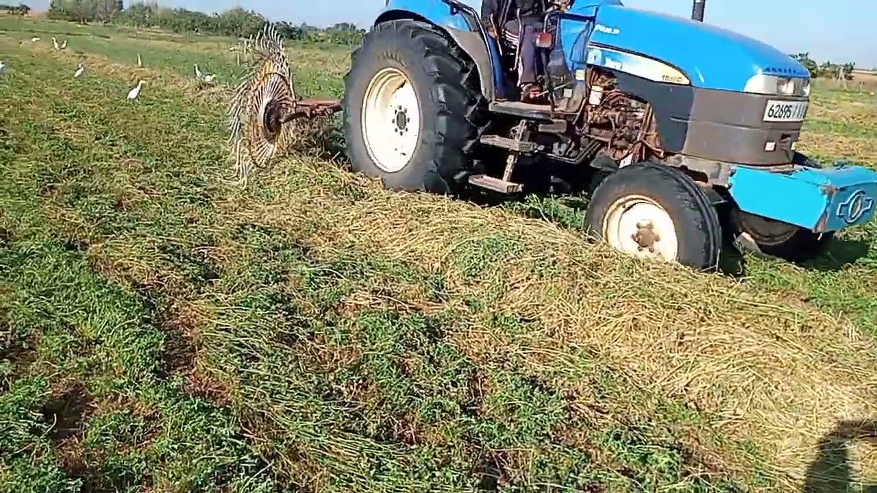 طريقة جمع الفصة بعد الحصاد