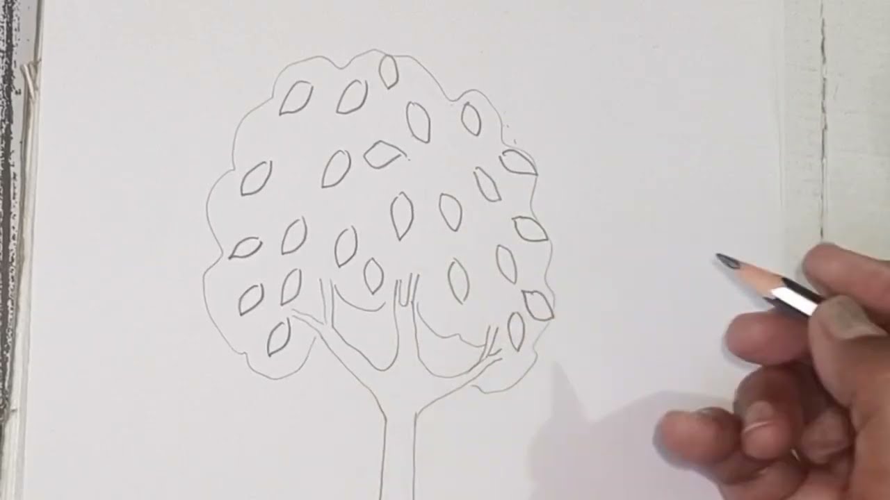 Tree Drawing easy/Draw tree /Realistic tree Sketching 