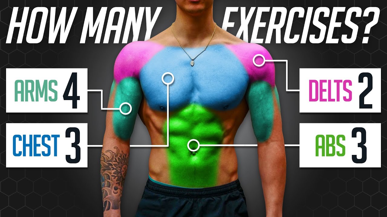 How Many Exercises Do You Need To Maximize Muscle Growth?