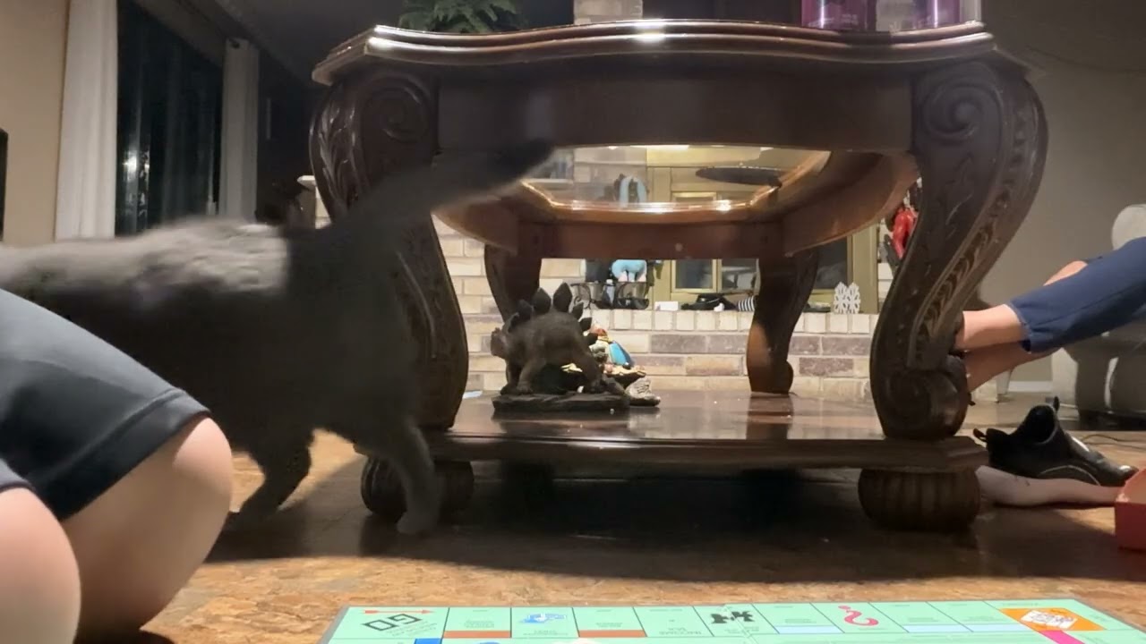 Monopoly Time but different!