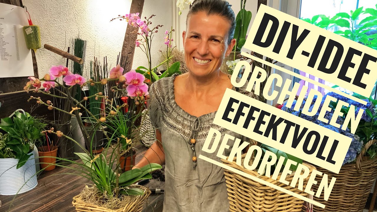 Die SCHÖNSTE ORCHIDEEN-DEKO effektvoll & natürlich / Homedeko selber machen mit Pflegetipps