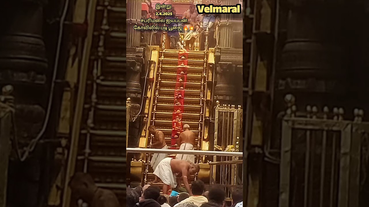 2.4.2025 இன்று சபரிமலை ஐயப்பன் கோவிலில் படிபூஜை 🔥💥#சபரிமலை #sabarimala #irumudi #ayyappa #viralvideo