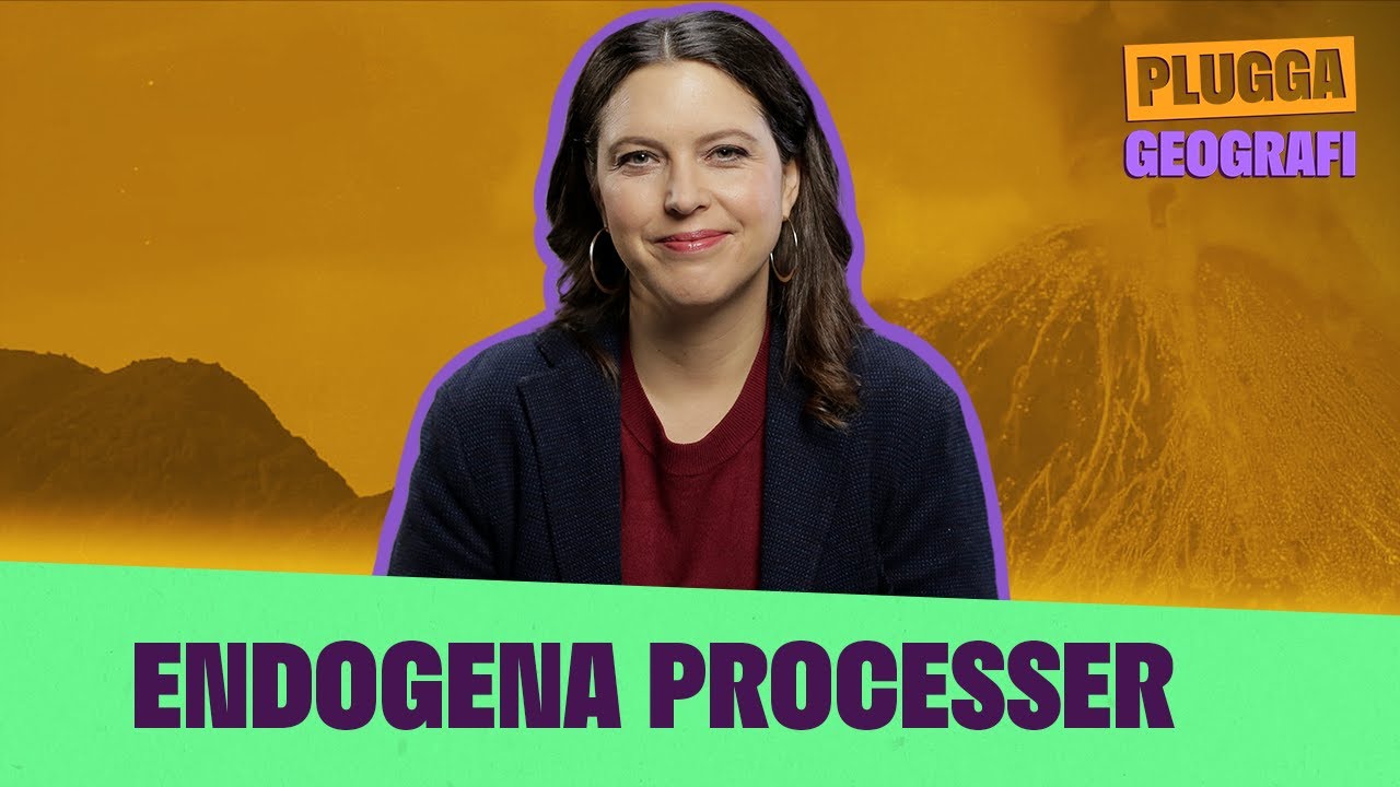 Exogena processer | Plugga geografi