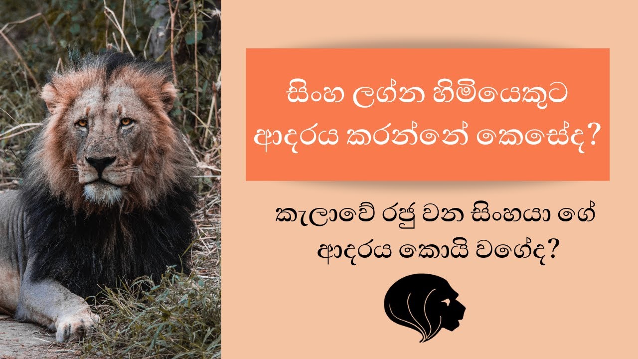 How to Love a Leo in Sinhala | Sinha Rashiya Sinha Lagnaya, Love in Vedic Astro aspect  gathiguna