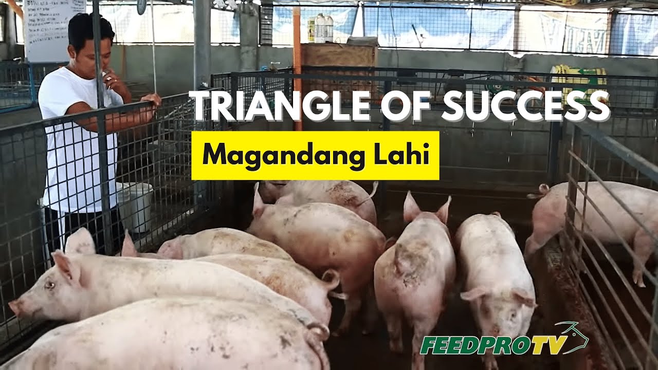 Triangle of Success: Magandang Lahi