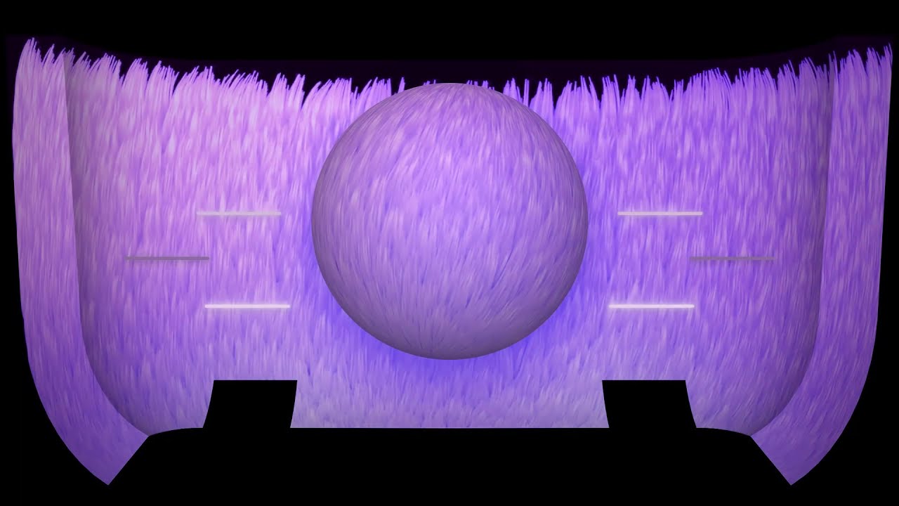 Sweetener World Tour - Thank U, Next (Screen Visual)