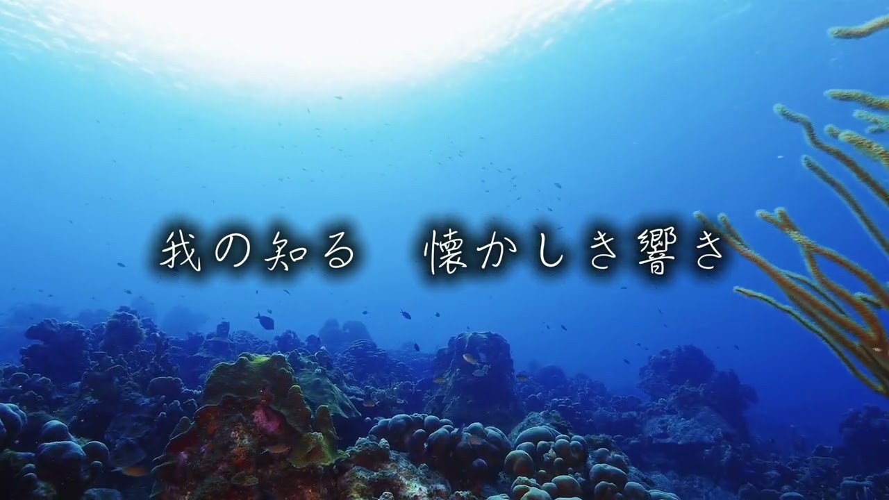 【いのちの証】KAZUO FUJIWARA | マウンテンマウスまぁしぃ|あわさんご| 篠原なおみ