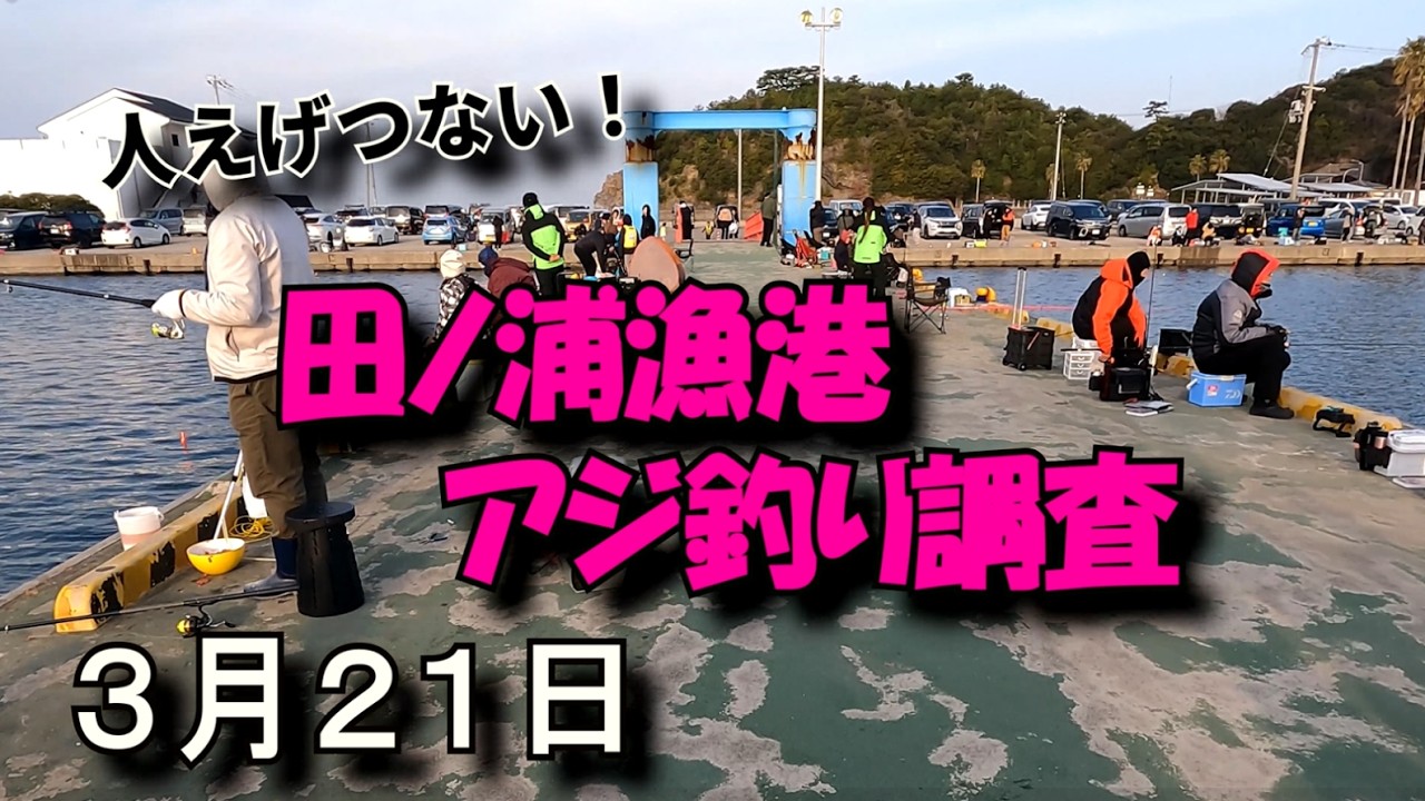 【和歌山釣り】田ノ浦漁港アジ釣り調査　人えげつない