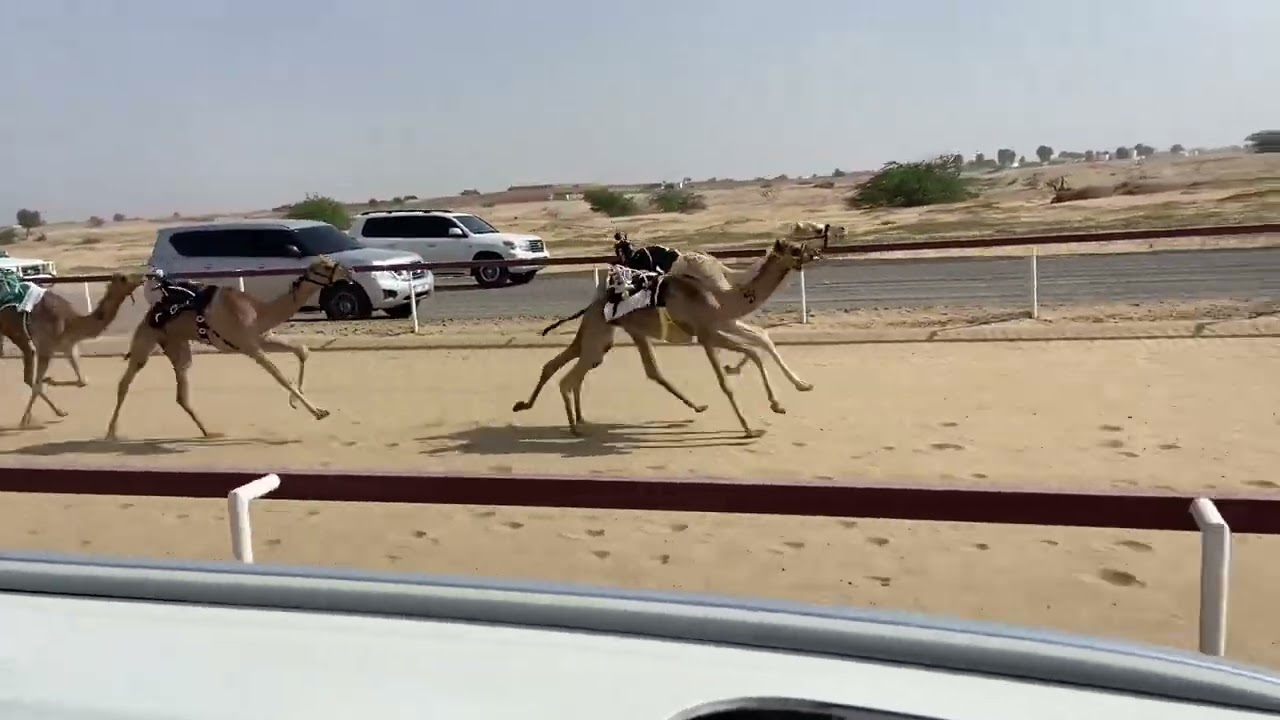 ٢٣ فبراير، ٢٠٢٥