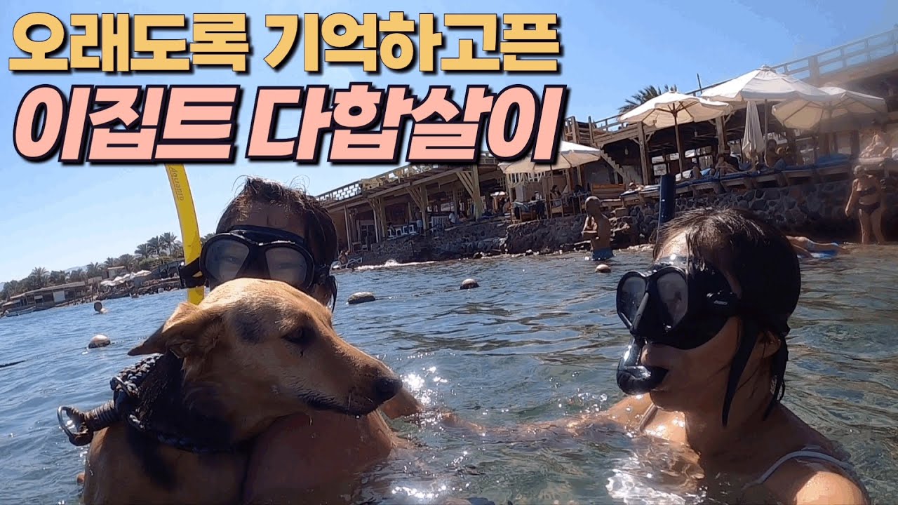 세계일주 #45.이집트🇪🇬 기억에 남기고 싶은 그 곳, 다합.