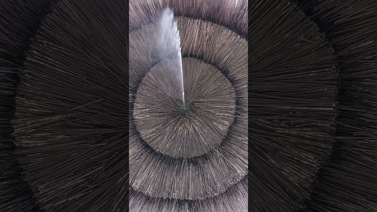 This mill processes thousands of #trees daily to create sustainable packaging. #Cardboard #Paper