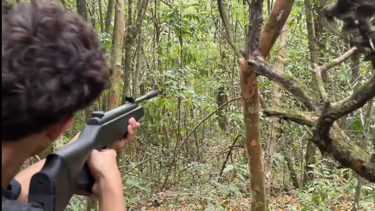 ENCONTRAMOS ALGO ESTRANHO NO MEIO DO MATO!? 🌲