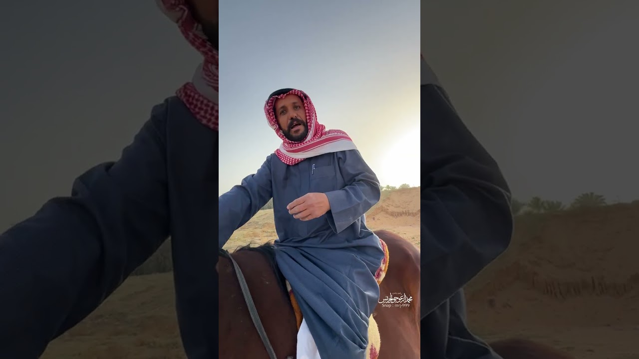 طريقة المسكة الصحيحة للخيل 