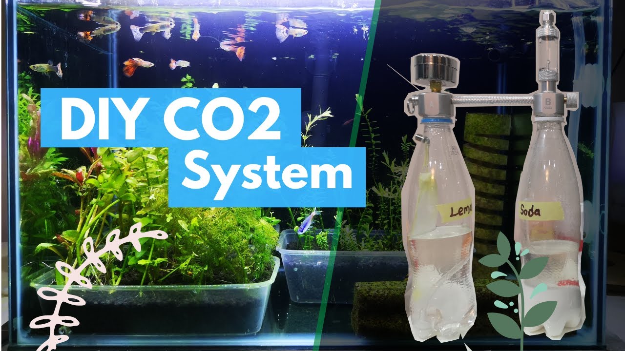 DIY CO2 Set [ Unboxing ] Using Citric Acid and Baking Soda
