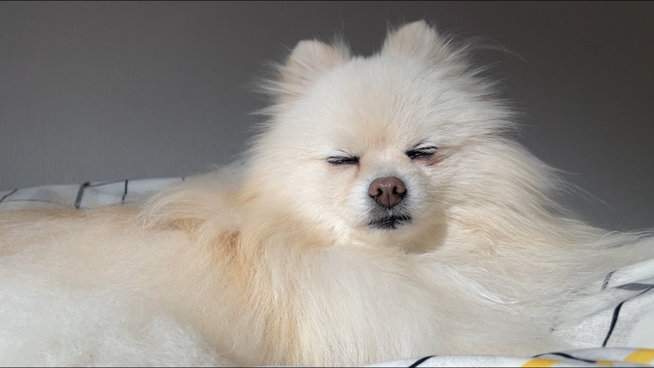 よくある睡眠パターン